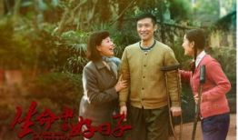 生命中的好日子电视剧全集观看,重温人生美好时光，感悟岁月如歌