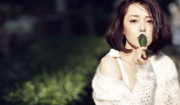 刘一含演过的电视剧,从延禧攻略到庆余年，演绎古装剧中的绝代风华