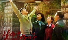 生命中的好日子电视剧全集观看,重温人生美好时光，感悟岁月如歌