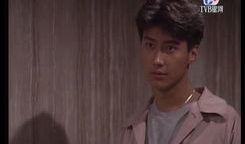 电视剧黎明,光影交织的传奇人生