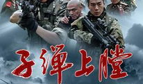 我是谁电视剧,揭秘身份之谜，探寻人生真相