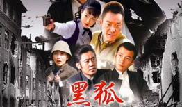 电视剧 黑狐,谍影重重，信仰与背叛的较量