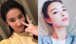 网红和明星区别,揭秘两者之间的差异与特点