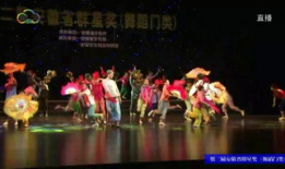 凤阳花鼓电视剧,传承与创新中的民间艺术传奇