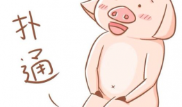 跪地的漫画,跪地背后的故事与启示