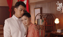 戴向宇主演的电视剧,情感纠葛与命运抉择