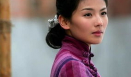 刘涛主演电视剧,情感纠葛与成长蜕变