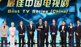 电视剧奖项,盘点年度电视剧奖项盛宴