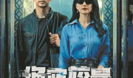 国安的电视剧,揭秘国家安全战线上的英雄传奇